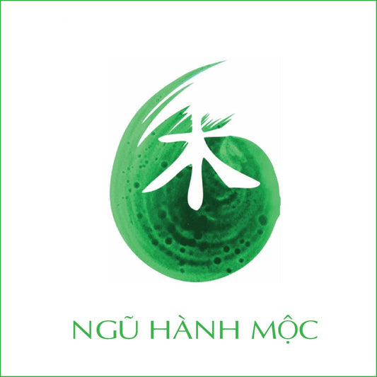 Kiến thức phong thủy cho người mệnh Mộc