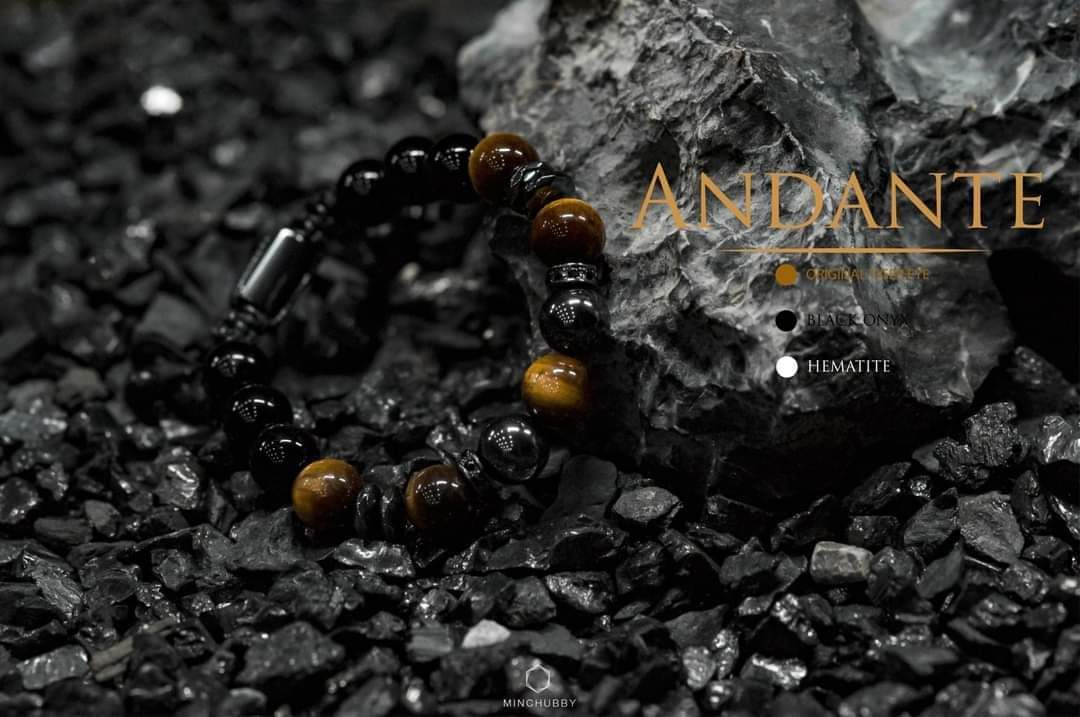 The Andante