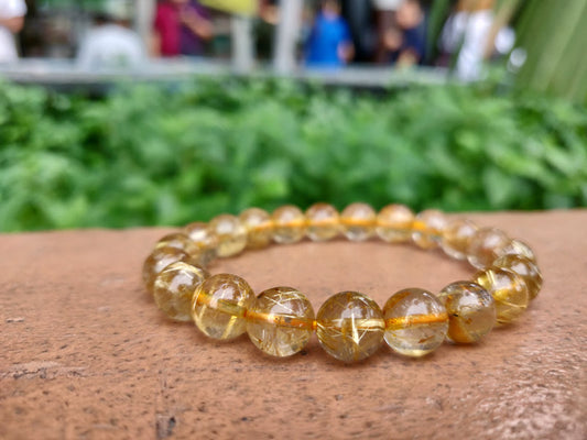 The Golden Rutilated Quartz