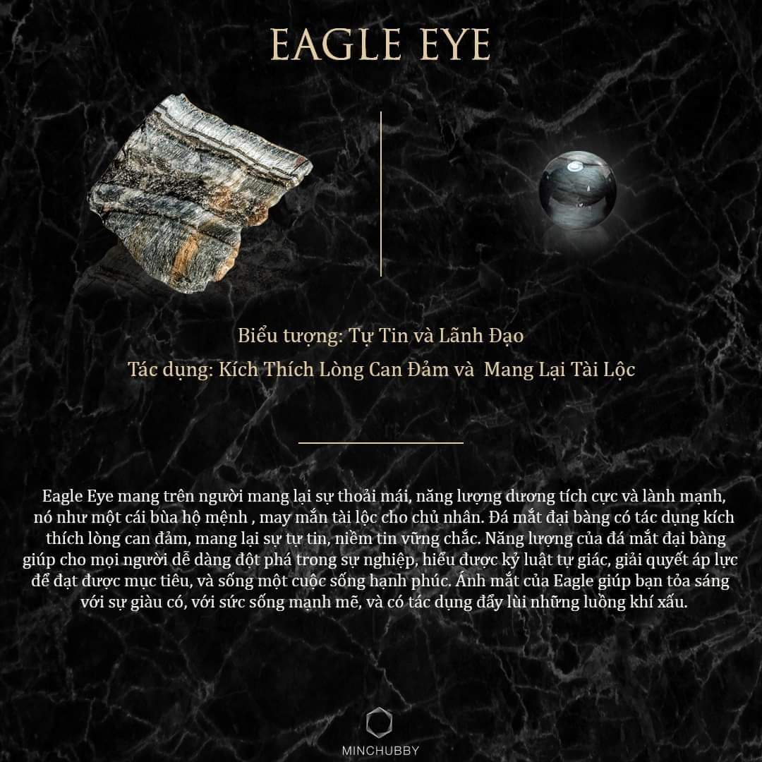 The Eagle Eye